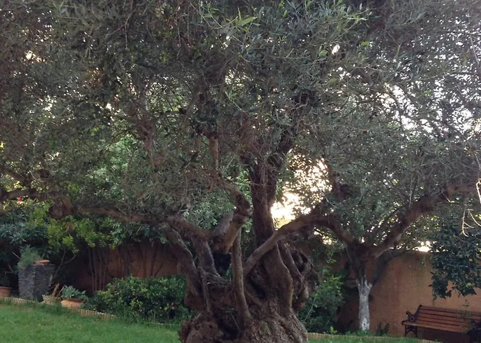 Olivo - Private Pool & Garden, Chania Villa Chania (Crete)