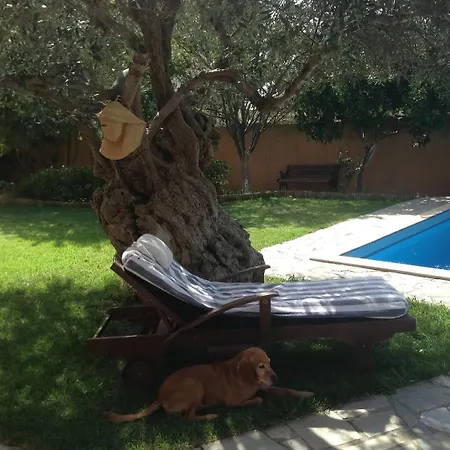 Olivo - Private Pool & Garden, Chania Chania (Crete)