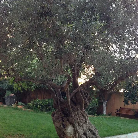 Olivo - Private Pool & Garden, Chania Villa Chania (Crete)
