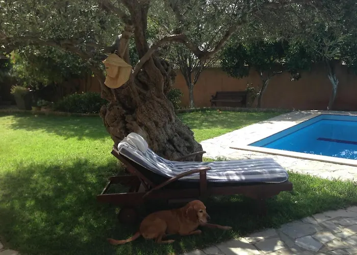 Olivo - Private Pool & Garden, Chania Chania (Crete)