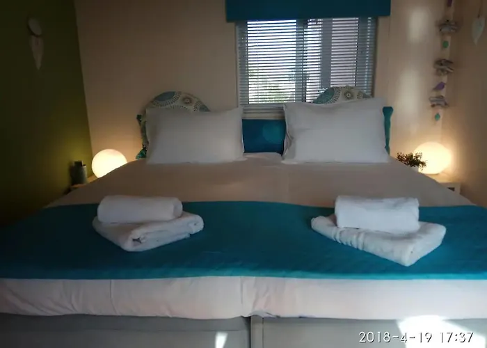 Olivo Kampani * Hanya