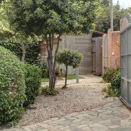 Olivo Kampani * La Canée